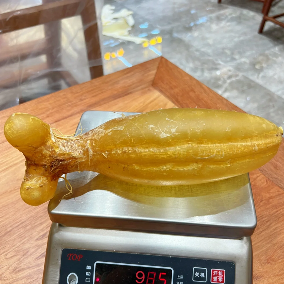 陳年為王！拆解老花膠「貴過黃金」的高價回收秘訣：為何舊膠比新膠更划算？