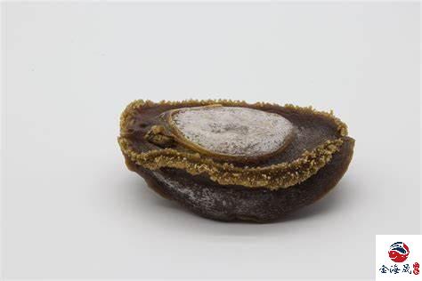 Japanese abalone buyback abalone buyback abalone Hong Kong buyback abalone Hong Kong buyback abalone
