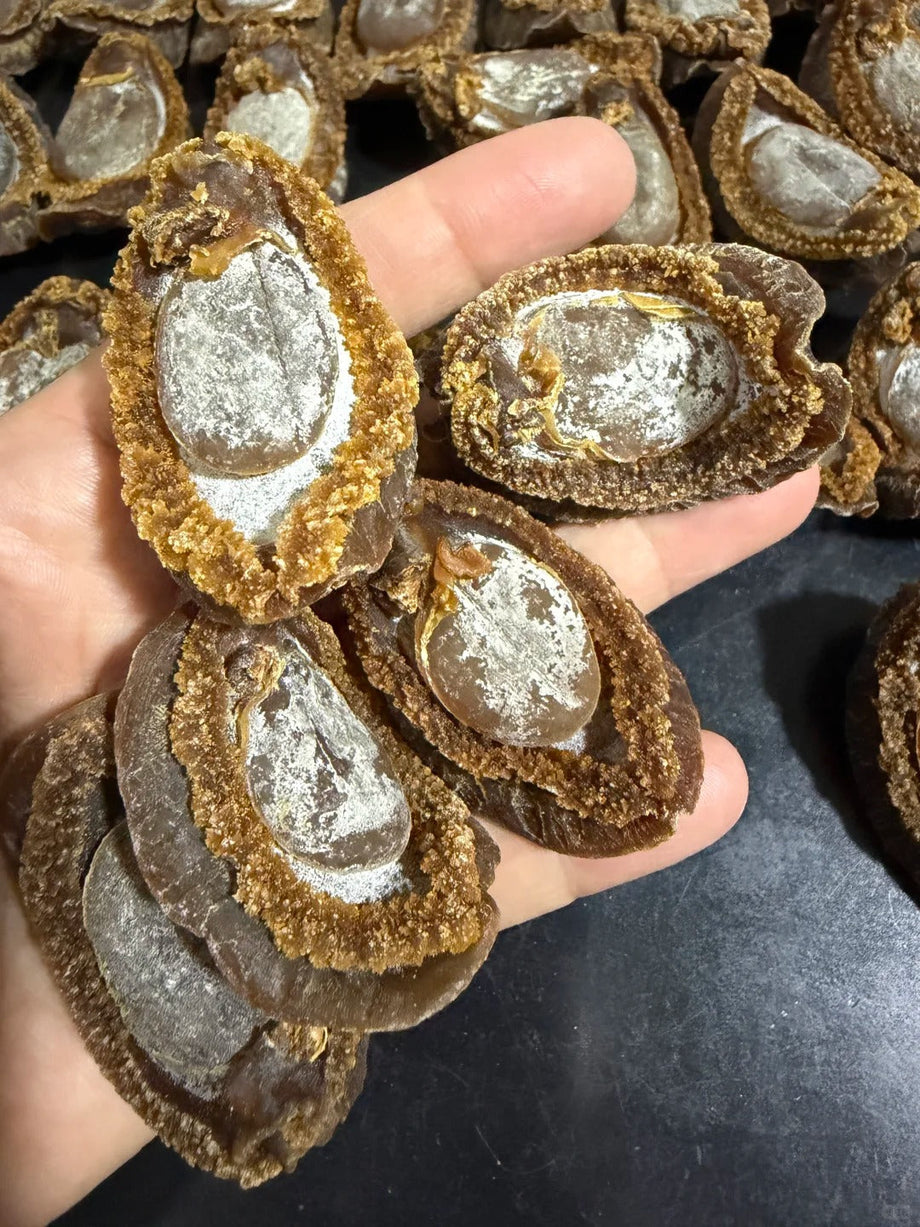 Japanese Dried Abalone Grade Stamps: An Appraisal Guide
