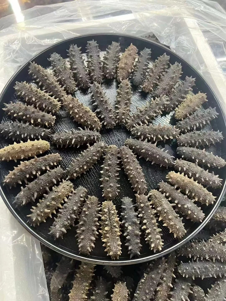 辽参
