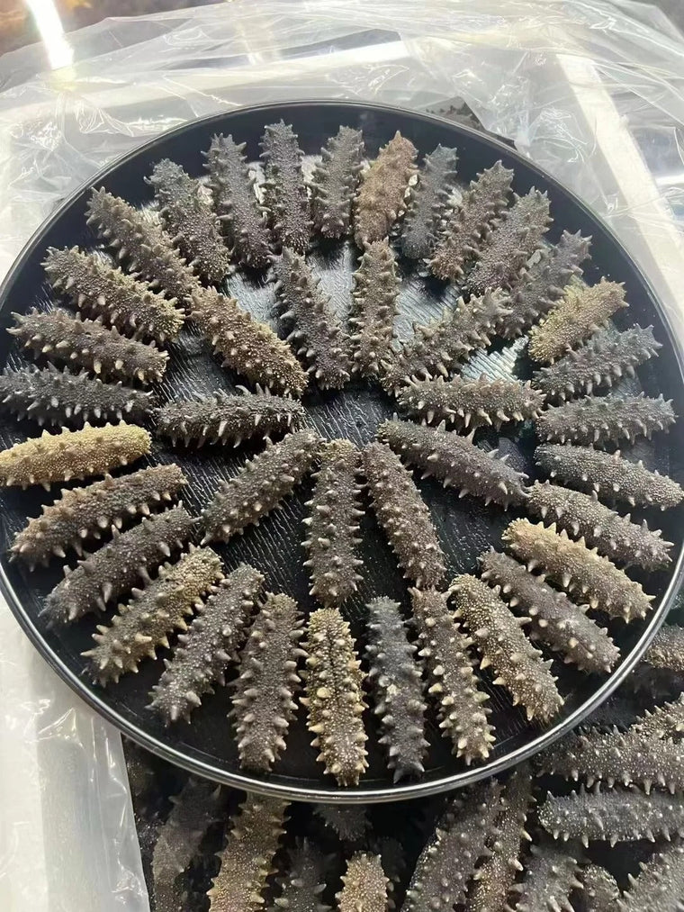 辽参