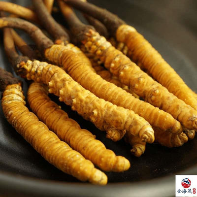 生長環境也是決定蟲草價格的重要因素！