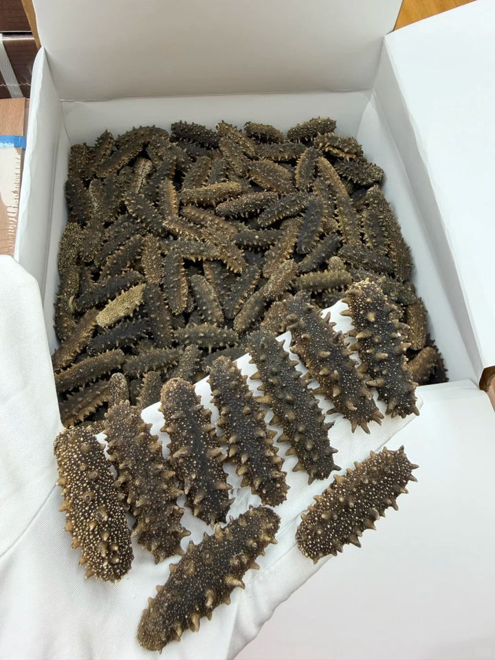 Dried Liao Sea Cucumber