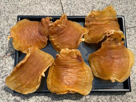 金錢鰵魚膠（黃唇魚膠）