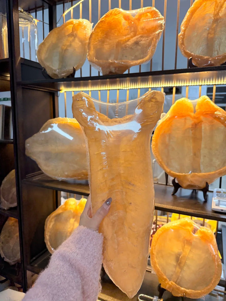 陈年花胶