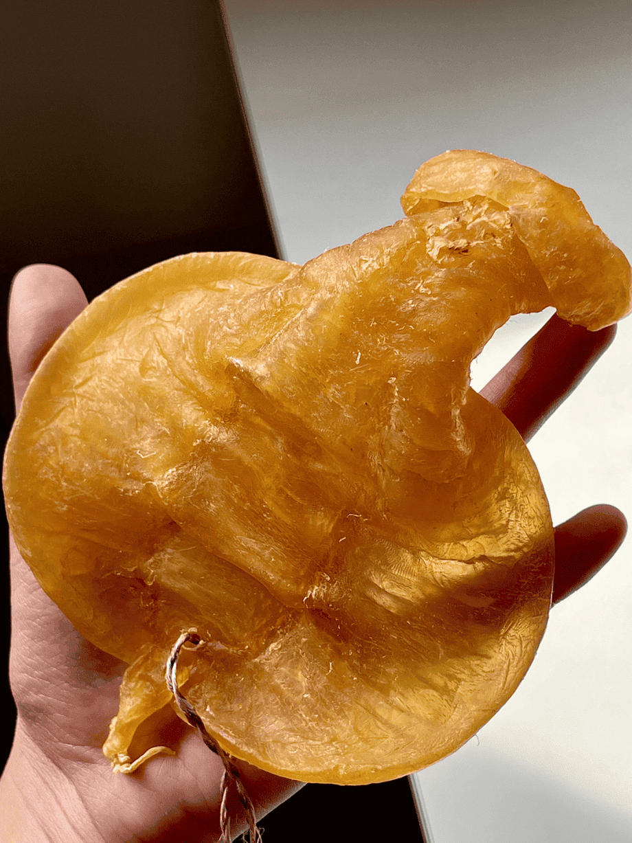 [Kam Hoi Shing Buyback Diary] Mr. Lee in Kwun Tong cashed out for a major renovation, high-priced sale of his treasured giant fish maw and frost-covered Oma dried abalone!