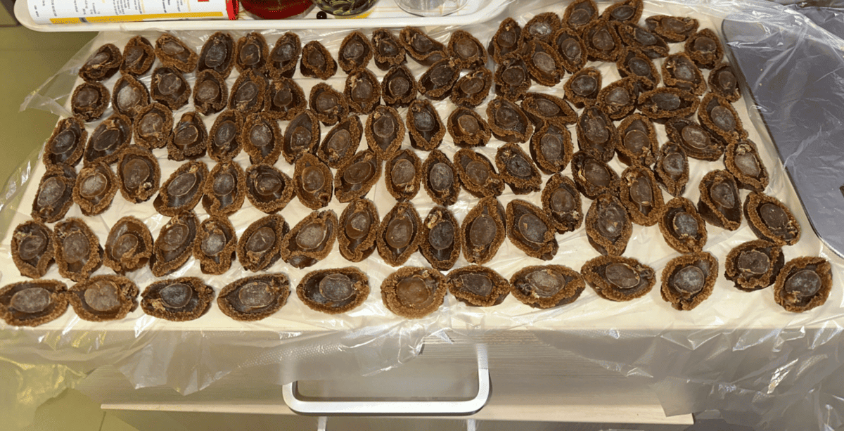 Abalone Buyback - Kam Hoi Shing