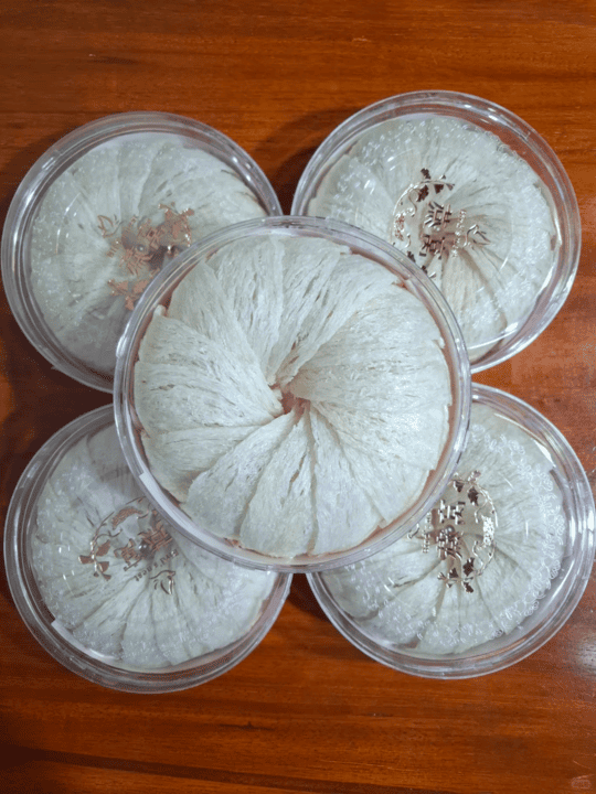 Edible bird's nest buyback - Kam Hoi Shing