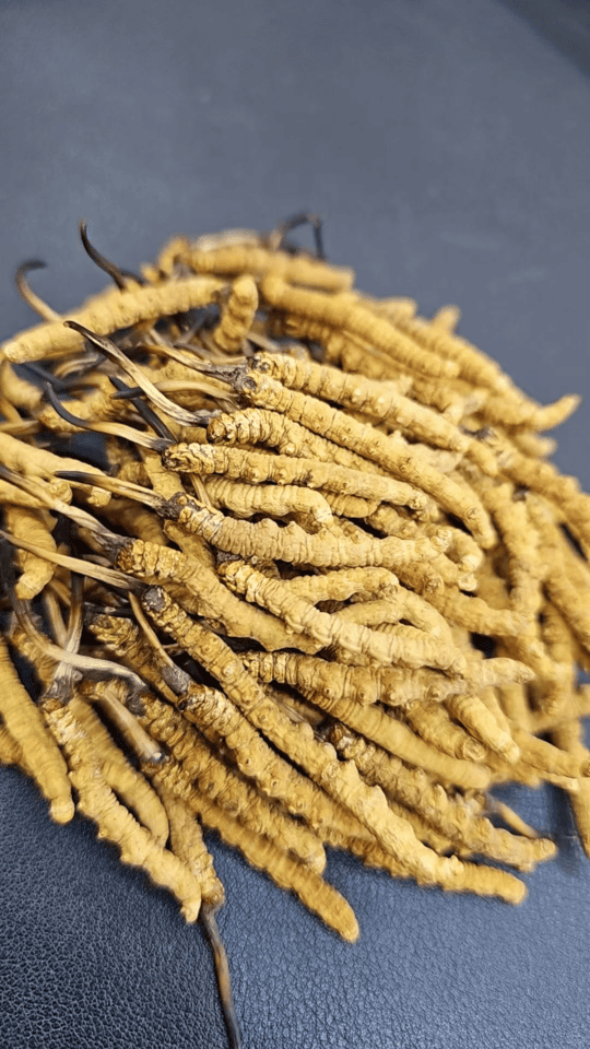 [Kam Hoi Shing Buyback Case]Don't worry about wasting food! Mr. Chan sells his idle premium cordyceps and white edible bird's nest for cash, which is more practical.