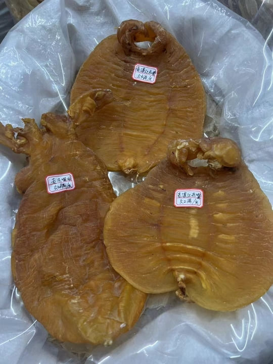 Kam Hoi Shing buyback case study red-lip fish maw - Kam Hoi Shing