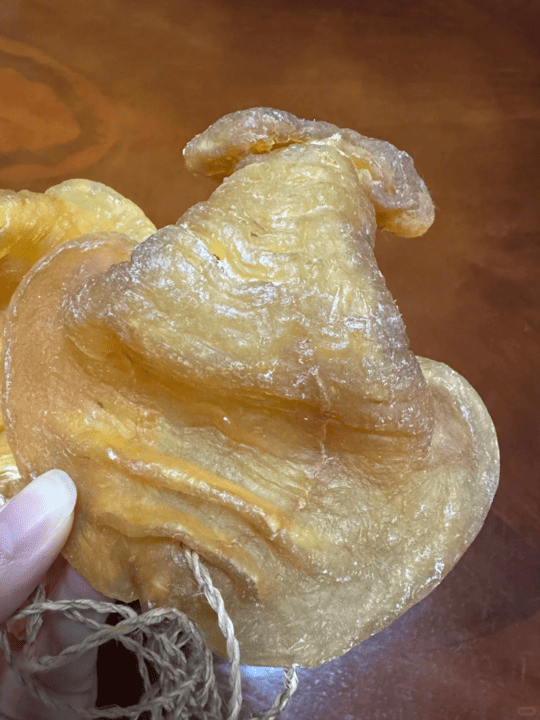 [Kam Hoi Shing・Real buyback case] Thirty-year-old premium stone fish maw! Why did Mrs. Ng part with it?