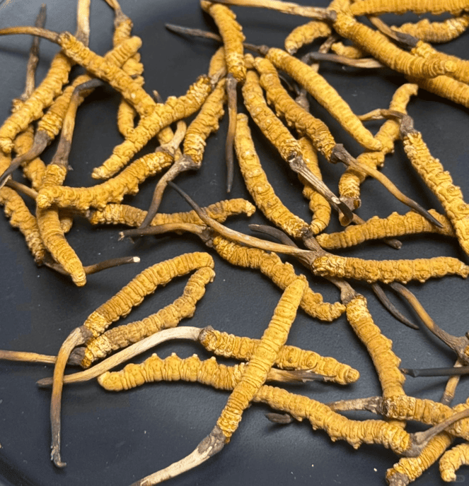 [Kam Hoi Shing Buyback Journal] How to handle luxury gift boxes you can't finish? Take a look at how Mrs. Wong easily sells high-quality edible bird's nest cordyceps!
