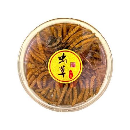 冬蟲夏草蟲草王