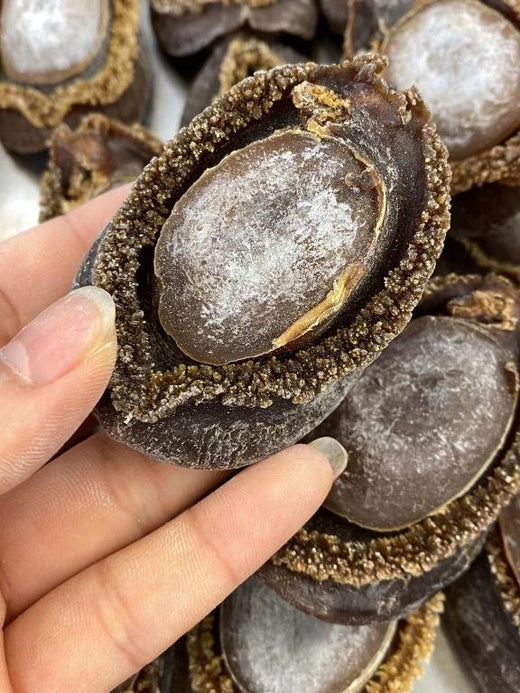 Dried Abalone Buyback in Hong Kong | Kippin, Amidori & Oma