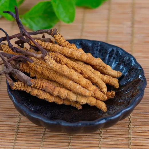 Cordyceps Buyback Reference Collection