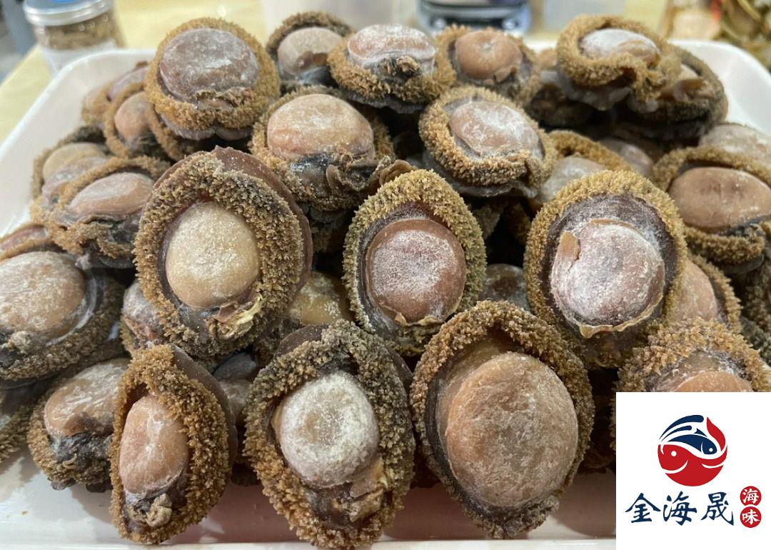 澳洲青邊鮑魚 飽滿陳年光澤 金海晟回收實拍