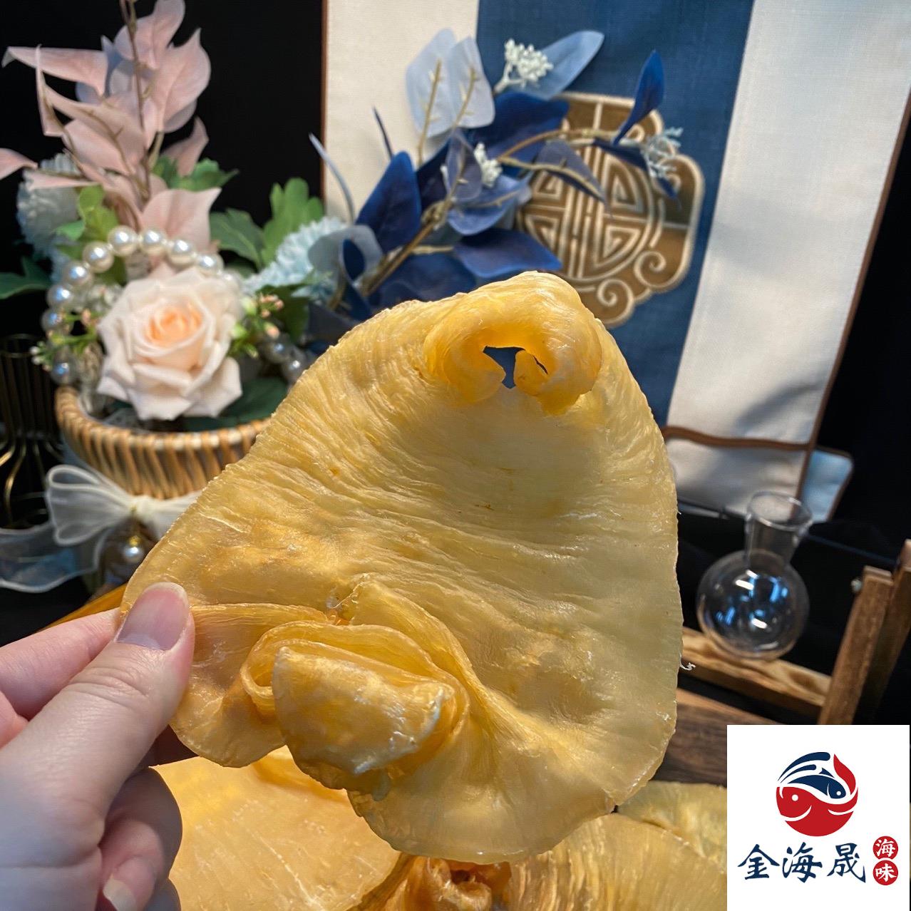 特級陳年黃花膠 金黃深邃膠身厚實紋理清晰 金海晟回收實拍