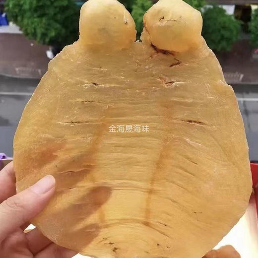 赤嘴鰵魚膠公肚 金黃色澤耳朵清晰 金海晟回收實拍